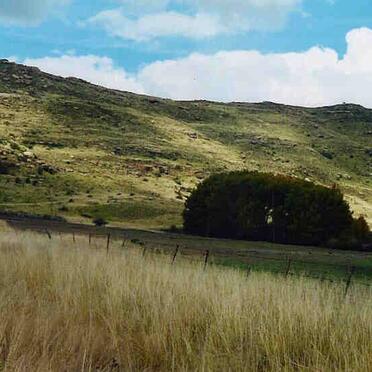 1. Overview / Oorsig