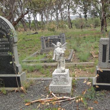 HILLHOUSE John McPherson 1874-1952 &amp; Gertrude Annie 1886-1932 :: HILLHOUSE Lionel Kitchener 191?-1921