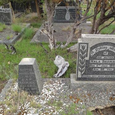 SHADIACK Hala -1940 :: SHADIACK Baby -1940