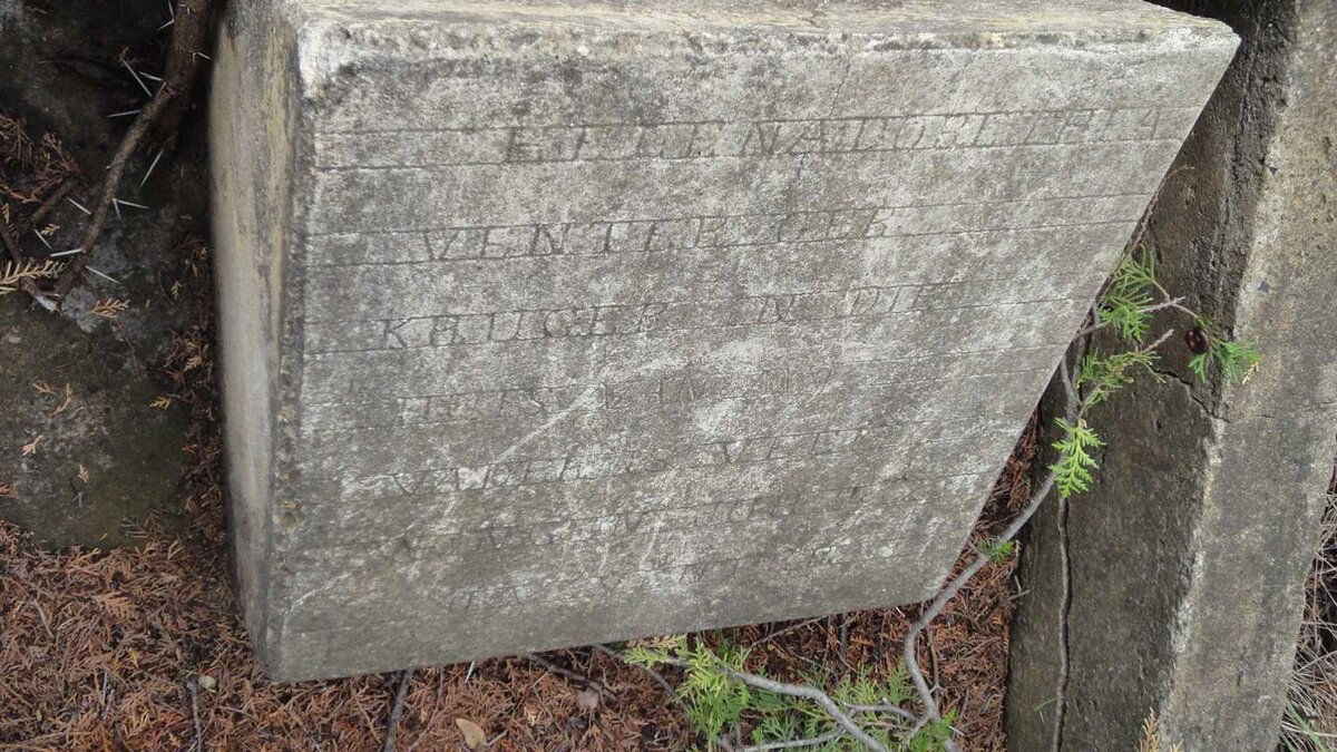 VENTER Helena Dorethea nee KRUGER