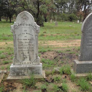 BROCK Mary Ann nee EVANS -1917 :: EVANS Alfred -1917