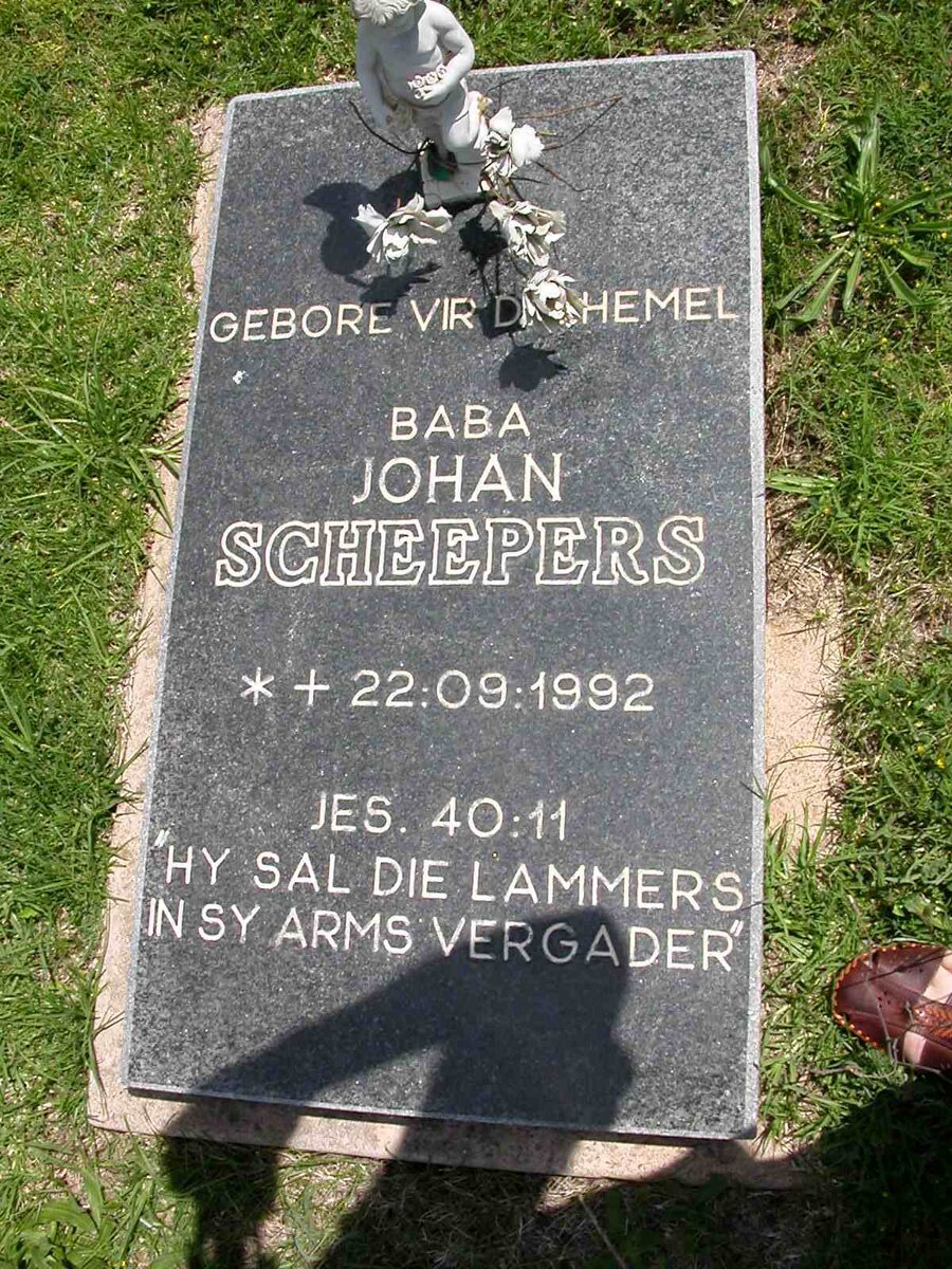SCHEEPERS Johan 1992-1992