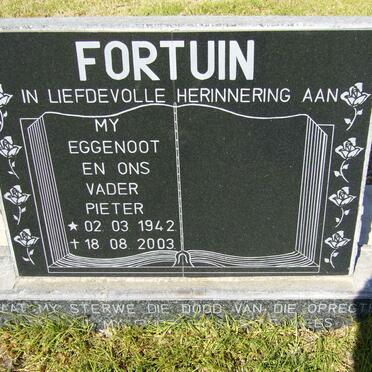 FORTUIN Pieter 1942-2003