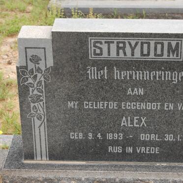 STRYDOM Alex 1893-1970