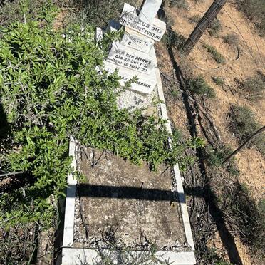 Eastern Cape, JANSENVILLE district, Klipplaat, Riet Fontein 22, Aloevale, Single grave