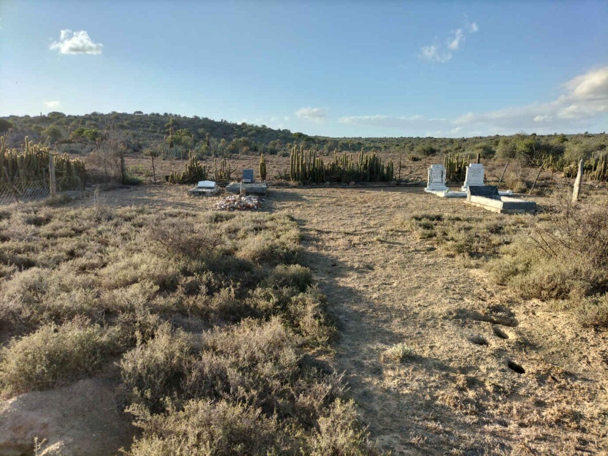 2. Oorsig / Overview: Laer Uitkomst Begraafplaas, Distrik Jansenville