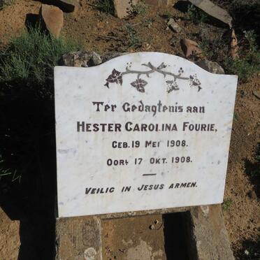 FOURIE Hester Carolina 1908-1908