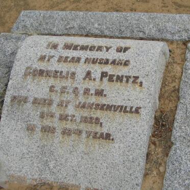 PENTZ Cornelis A. -1920