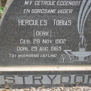 STRYDOM Hercules Tobias 1902-1965