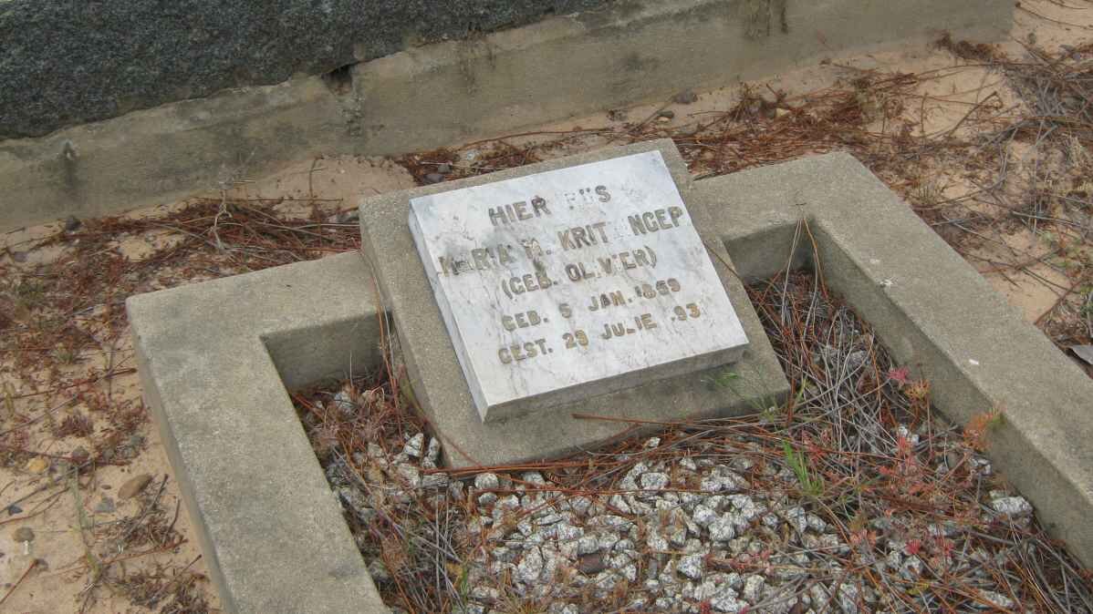 KRITZINGER Maria N. nee OLIVIER 1859-1893