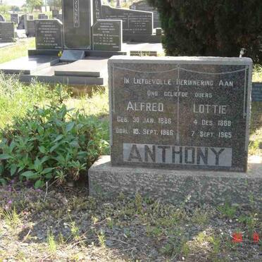 ANTHONY Alfred 1886-1966 &amp; Lottie 1888-1965