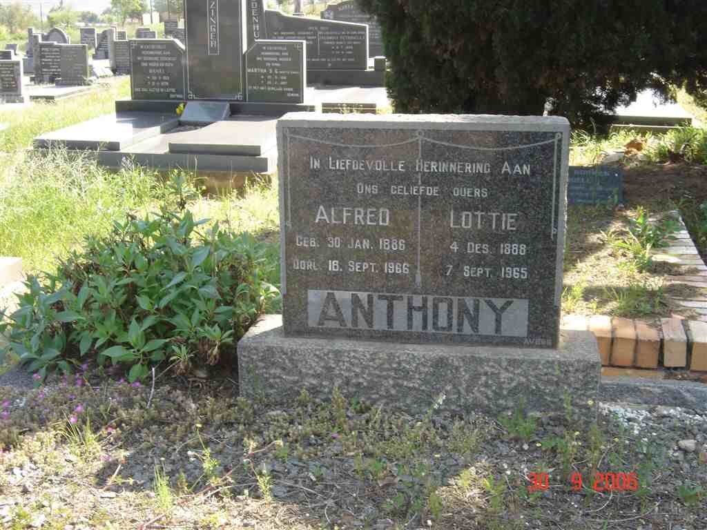 ANTHONY Alfred 1886-1966 &amp; Lottie 1888-1965