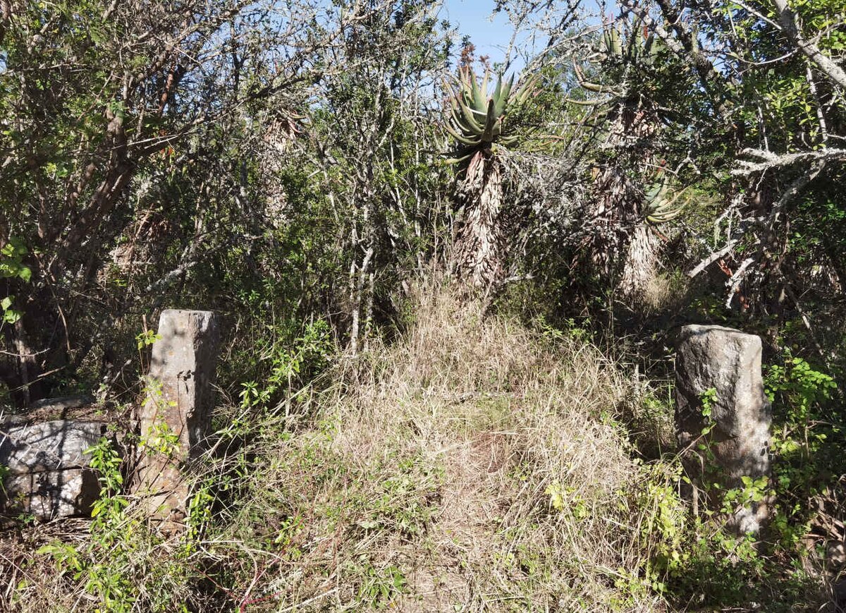 2. Overview / Oorsig