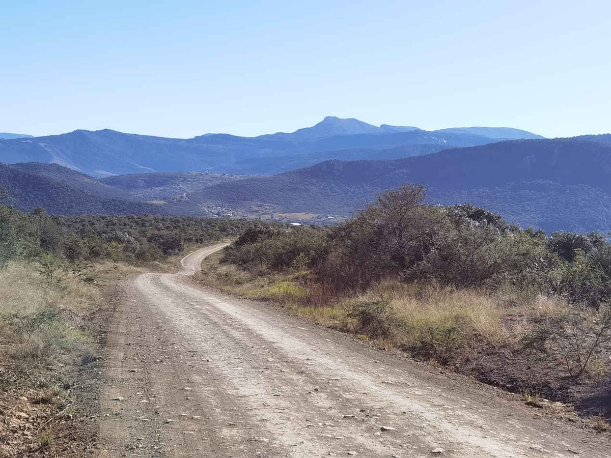 5. The road leading past Fort Cox into the Amatola (Amathole) valley
