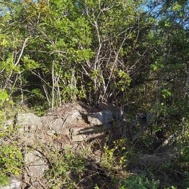 4. Overview / Oorsig