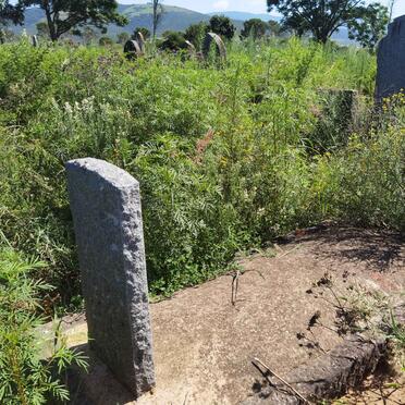 7. Overview / Oorsig