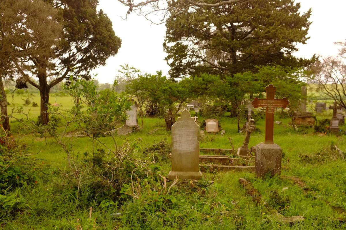 3. Overview / Oorsig