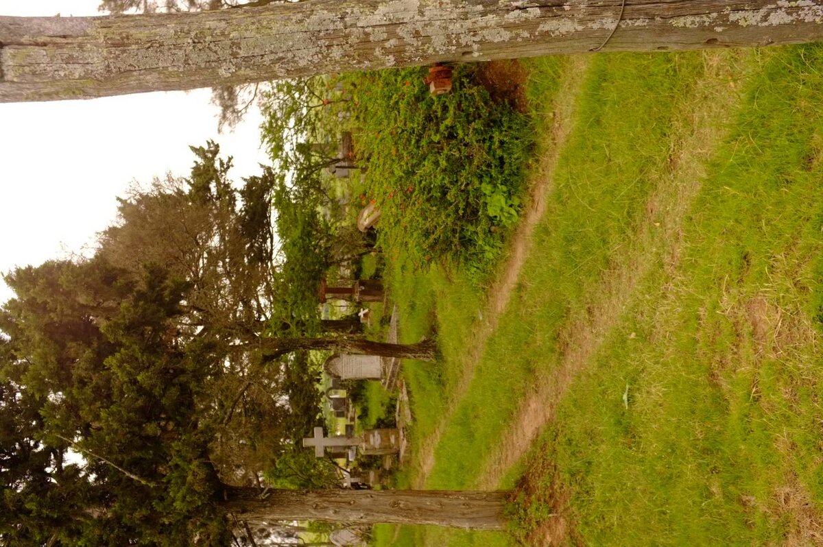 5. Overview / Oorsig