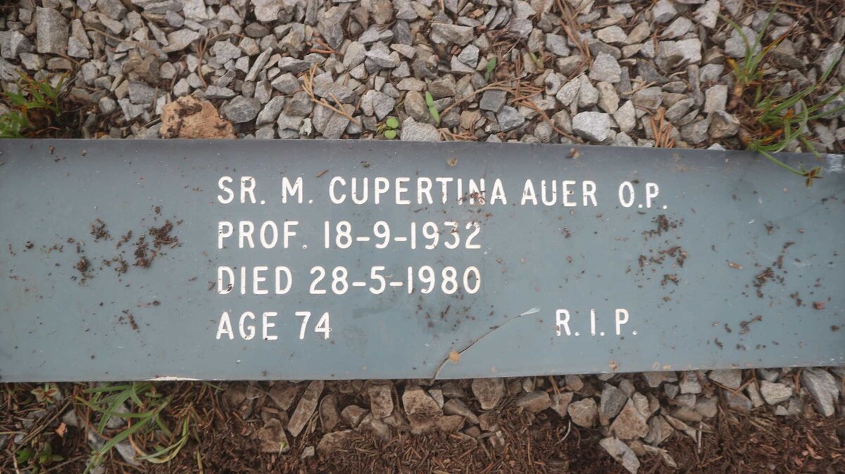AUER Cupertina -1980