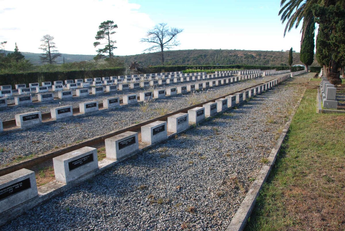 06. Overview / Oorsig