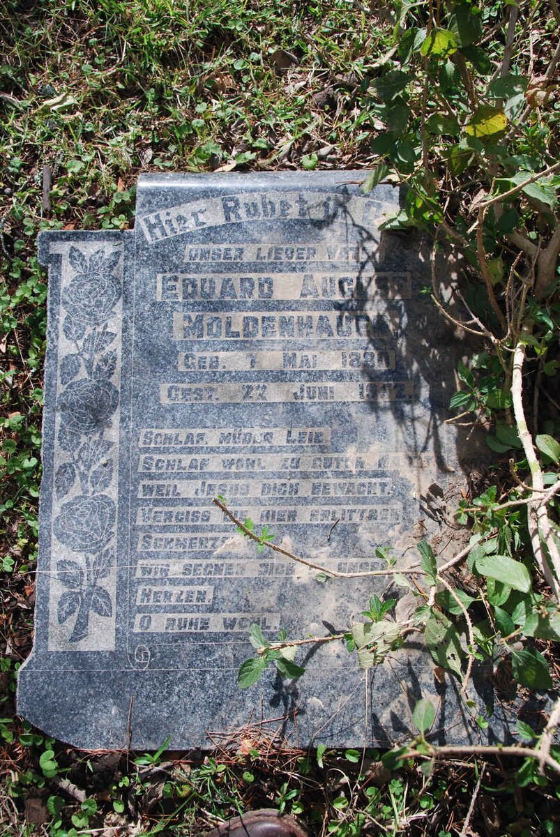 MOLDENHAUER Eduard August 1880-1952