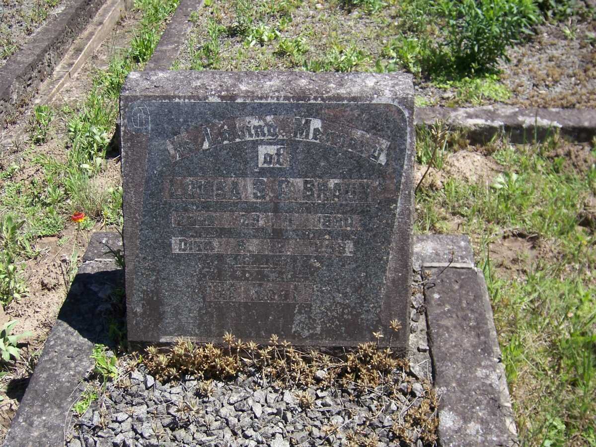 BRAUN Louisa S.C. 1880-1958