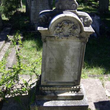 HEIN Michael Friedrich 182?-1903