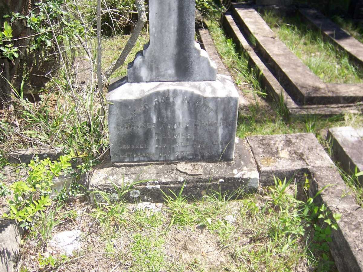 TESMER Johannes Franz Heinrich 1860-1900