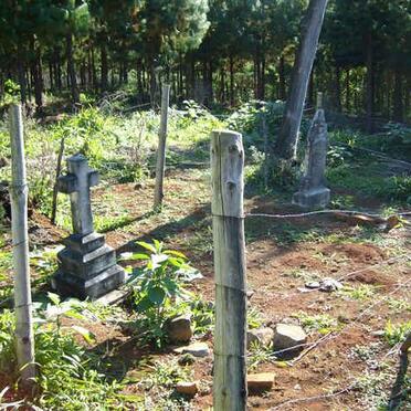 1. Overview of graves in Cwencwe Forest.
