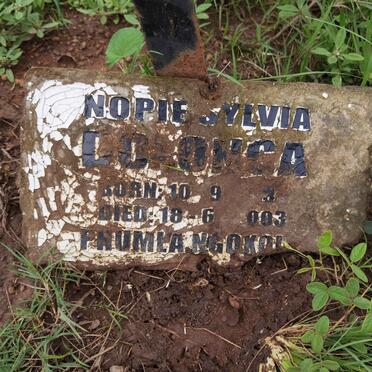 ? Nopie Sylvia -2003