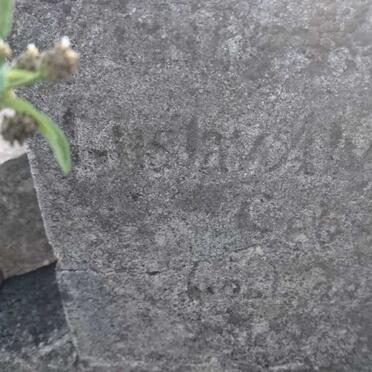 ? Gustav A. 1901-1902