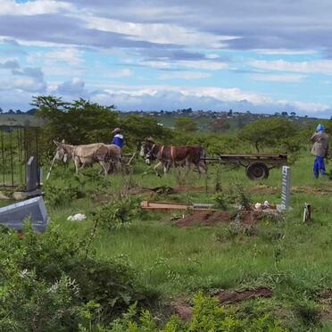 08. Oorsig / Overview