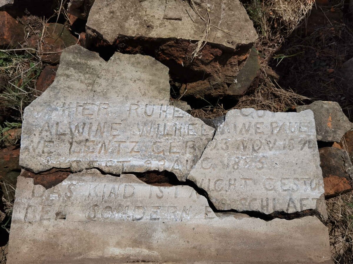 LENTZ Alwine Wilhelmine Pauline 1894-1895