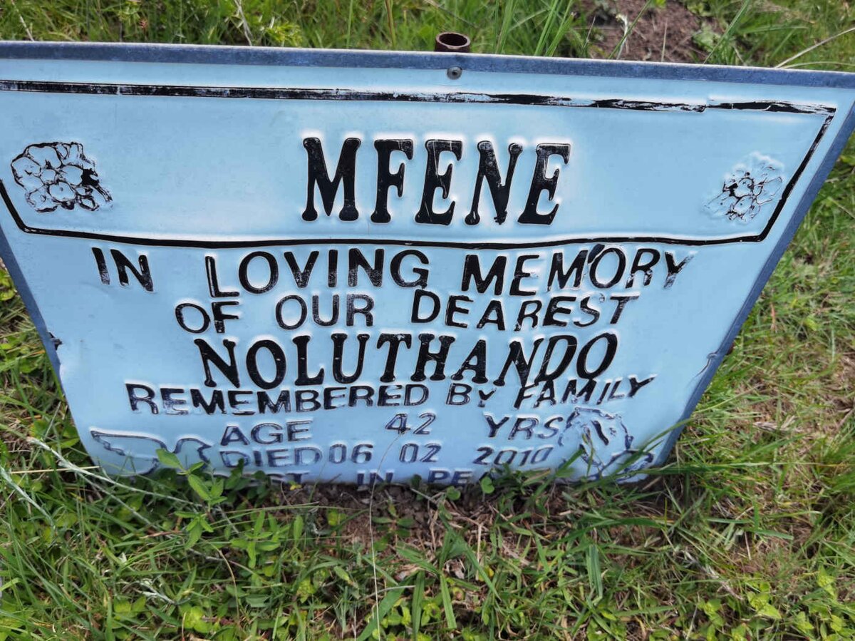 MFENE Noluthando -2010