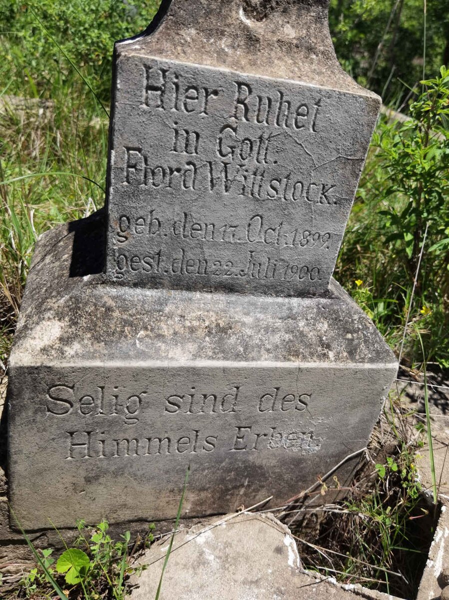 WITTSTOCK Flora 1899-1900