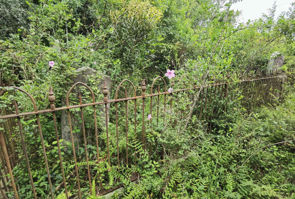 07. Oorsig / Overview ROSS : ERSKINE family plot