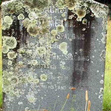 Eastern Cape, KING WILLIAM'S TOWN, Edward Street, Old Cemetery