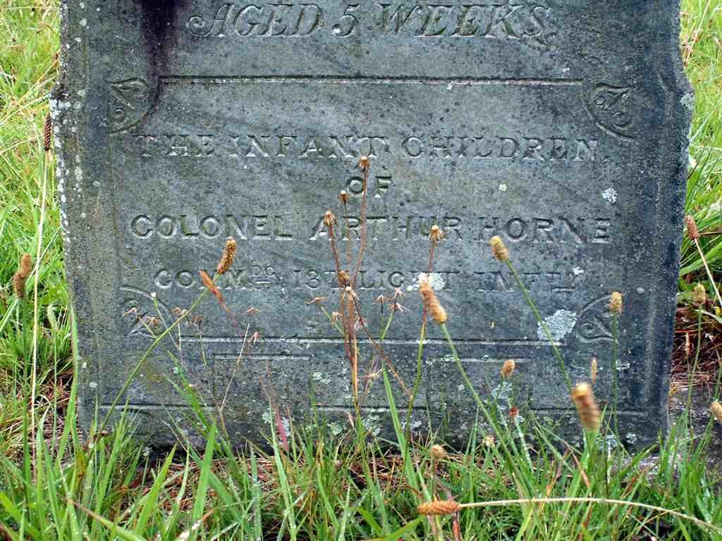HORNE Family Grave  (1)