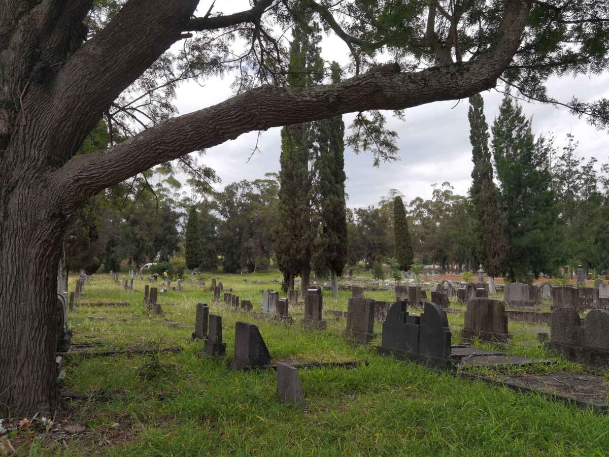 2. Overview / Oorsig