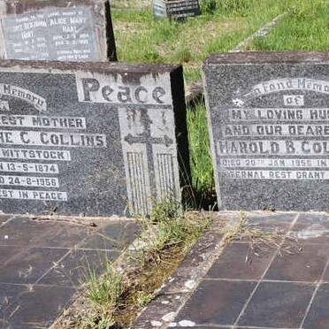 COLLOCOTT Harold B. -1956 :: COLLINS Wilhelmine C. nee WITTSTOCK 1874-1956