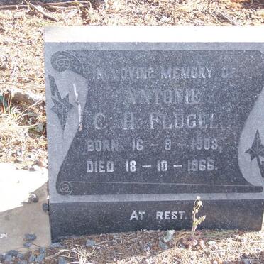 FLUGEL C.H. 1903-1966