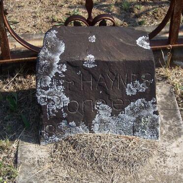 HAYNES -1859