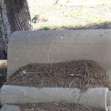 HIGGS Ann -1878 