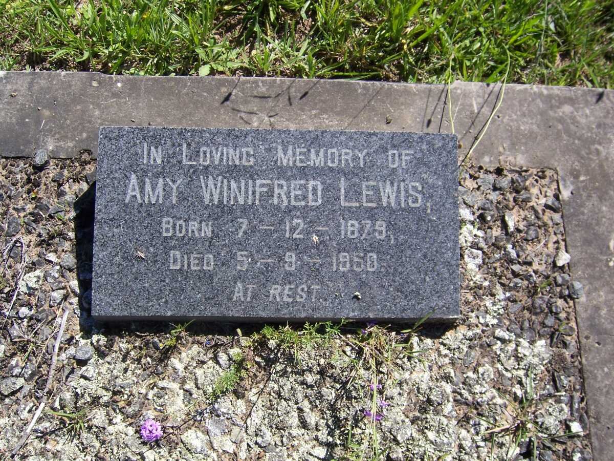 LEWIS Amy Winifred 1879-1950