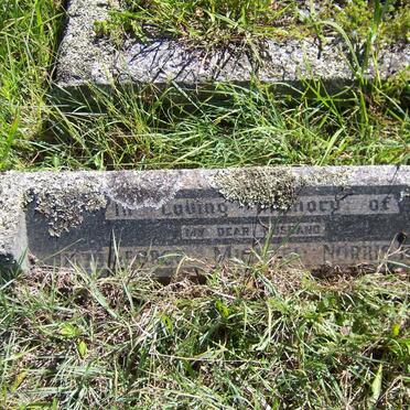 NORRIS George Michael 1879-195?