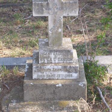 SANSOM Dorothy -1903