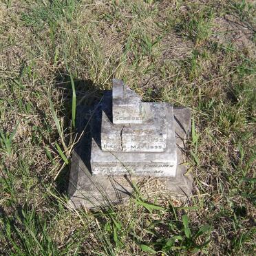 SCHROEDER Violet 1895-1895