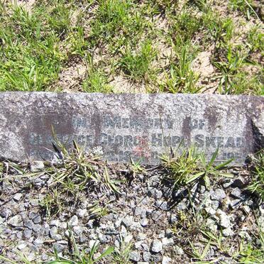 SKEAD Clarence George Hope 187?-1950