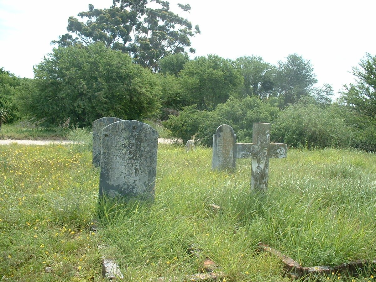 1. Overview / Oorsig