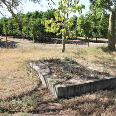 Eastern Cape, KIRKWOOD district, Kirkwood, Phillena farm cemetery